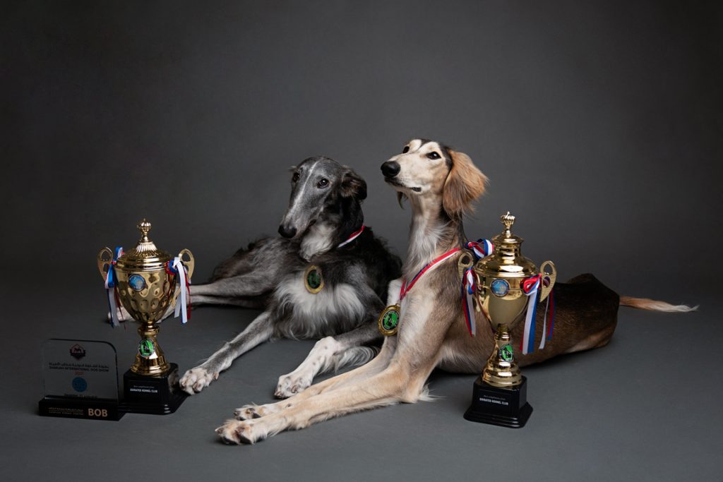 dog trainer award