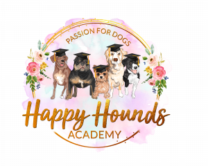 Happy Hounds Academy